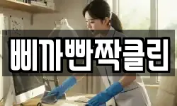 삐까빤짝클린