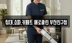 침대,소파,카페트 새로클린 부산진구점