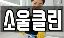소울클린