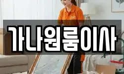 가나원룸이사