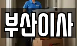 부산이사