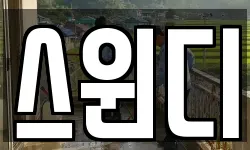 스윈디