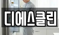 디에스클린