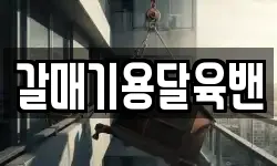 갈매기용달육밴