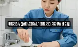 매트리스,부산소파,쇼파청소,카페트,러그,의자청소 베드웰
