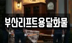 부산리프트용달화물