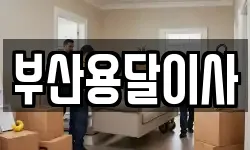 부산용달이사