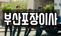 부산포장이사