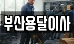 부산용달이사