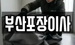 부산포장이사