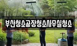 부산청소공장청소사무실청소