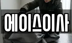 에이스이사