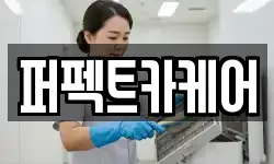 퍼펙트카케어