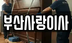 부산사랑이사