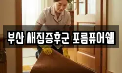 부산 새집증후군 포름퓨어쉘