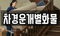 차경운개별화물