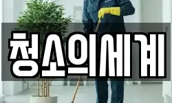 청소의세계