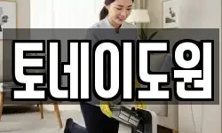 토네이도원