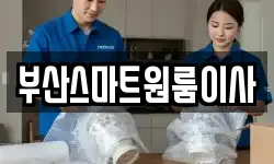 부산스마트원룸이사