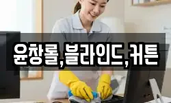 윤창롤,블라인드,커튼