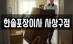 한솔포장이사 사상구점
