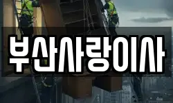 부산사랑이사