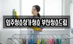 입주청소상가청소 부산청소드림