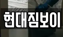 현대짐보이