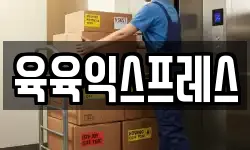 육육익스프레스