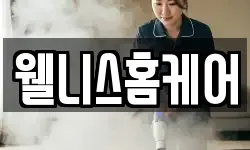 웰니스홈케어