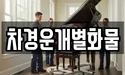 차경운개별화물