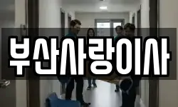 부산사랑이사