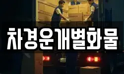 차경운개별화물