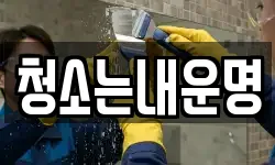 청소는내운명