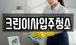 크린이사입주청소