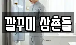 깔꾸미 삼촌들