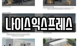 나이스익스프레스