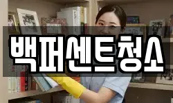 백퍼센트청소