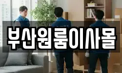부산원룸이사몰