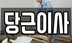 당근이사
