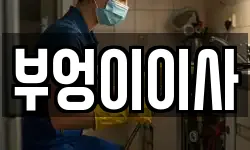 부엉이이사