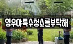 영우야특수청소를부탁해