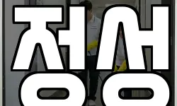 정성