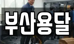 부산용달
