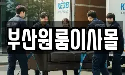 부산원룸이사몰
