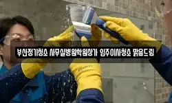 부산정기청소 사무실병원학원상가 입주이사청소 맑음드림