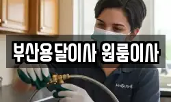 부산용달이사 원룸이사