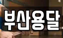 부산용달
