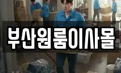 부산원룸이사몰