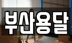 부산용달